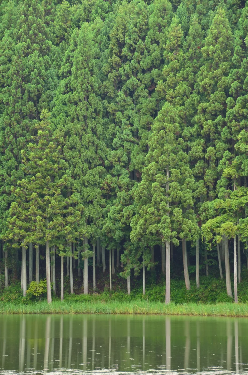 投稿写真：雨の龍王淵
