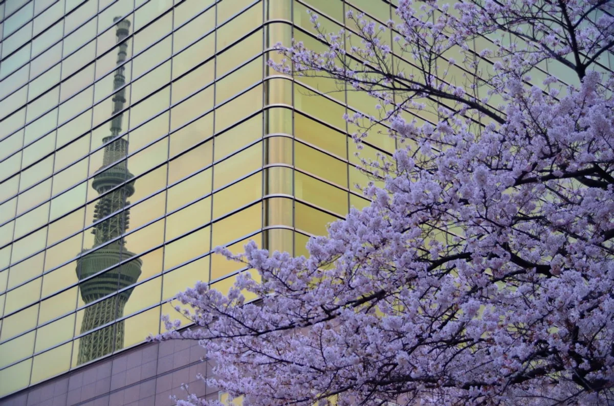 投稿写真：黄金ビルに映るスカイツリー