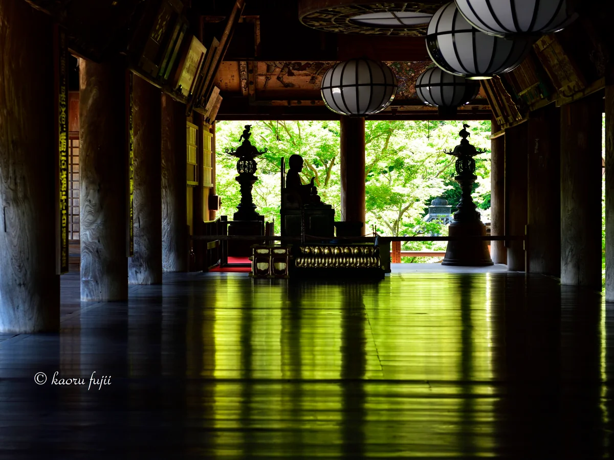 投稿写真：新緑の床