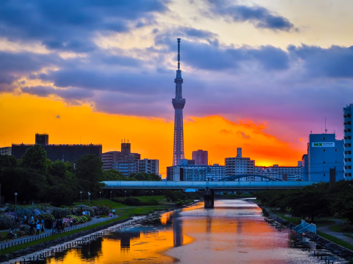 投稿写真：スカイツリーと真っ赤な夕焼け