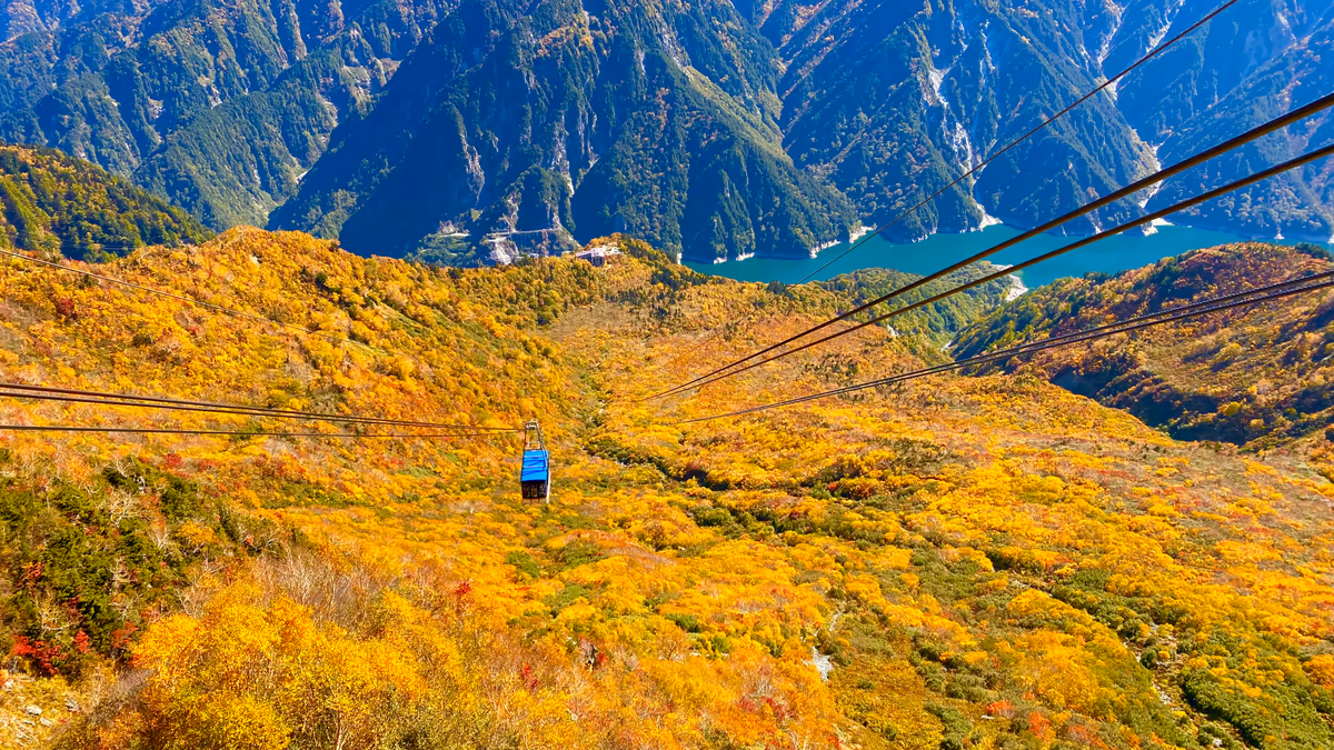 投稿写真：紅葉の絨毯と黒部ダム