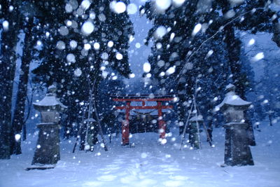  | 絶景事典