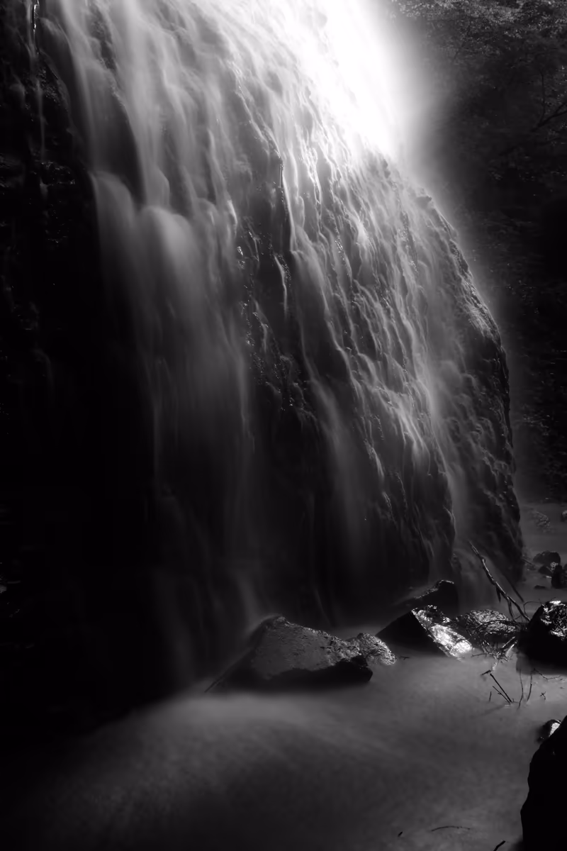 投稿写真：白と黒