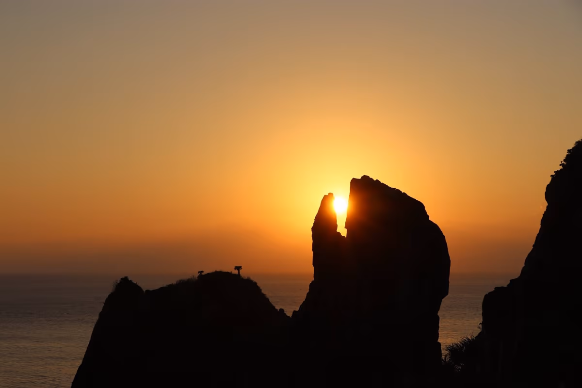 投稿写真：鳥の口が夕日をくわえました