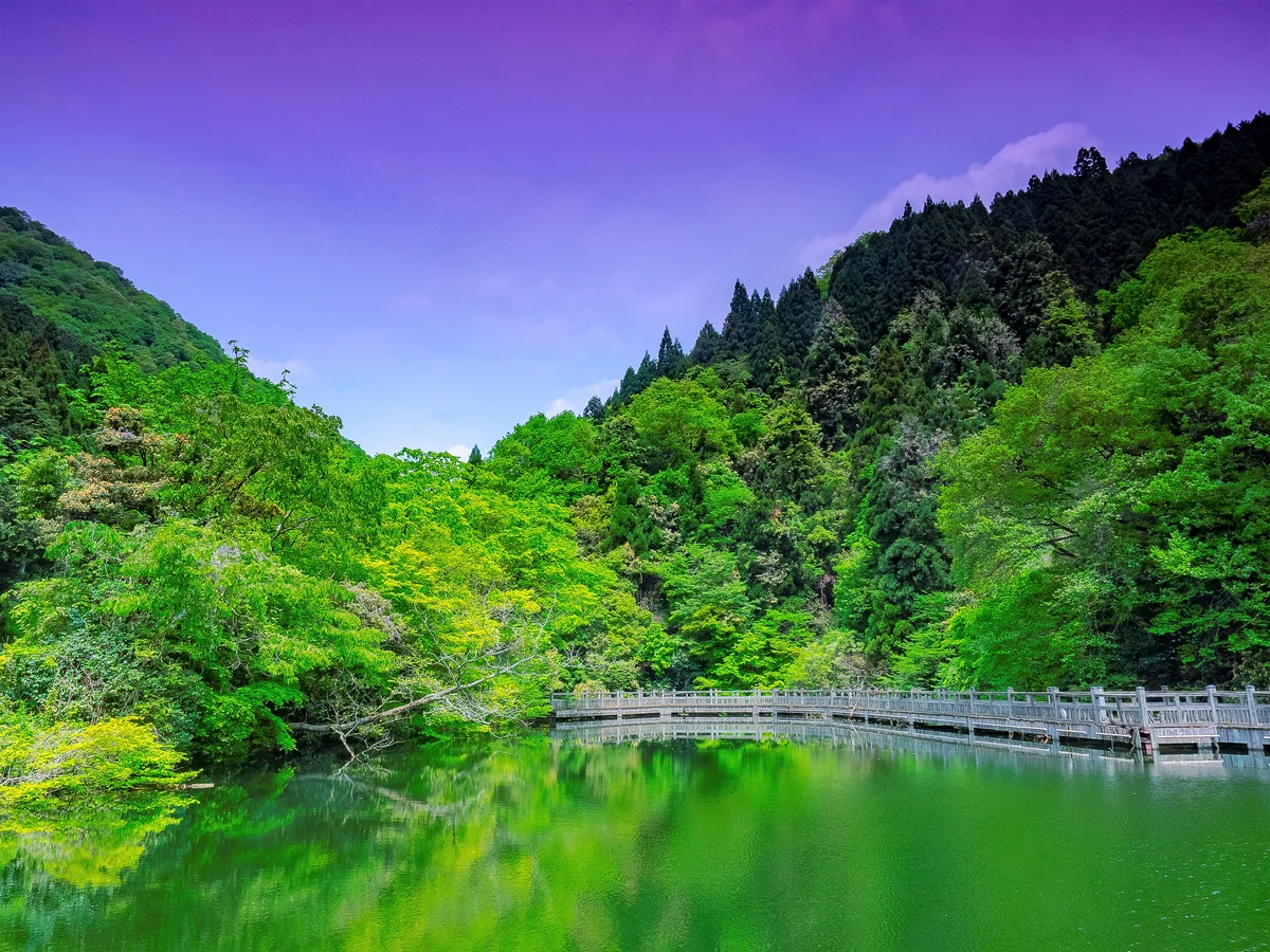 投稿写真：紺碧に映えるもみじ池