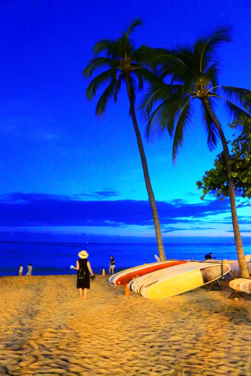 投稿写真：夜のビーチ