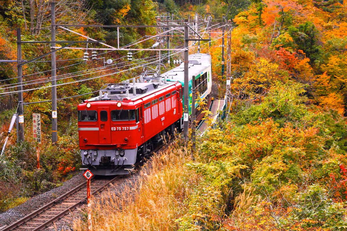 投稿写真：紅葉川渓谷の中の快速風っ子紅葉号