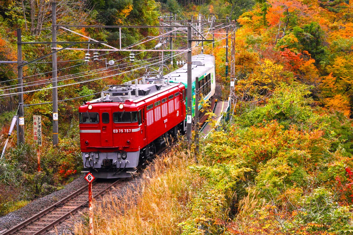 投稿写真：紅葉川渓谷の中の快速風っ子紅葉号