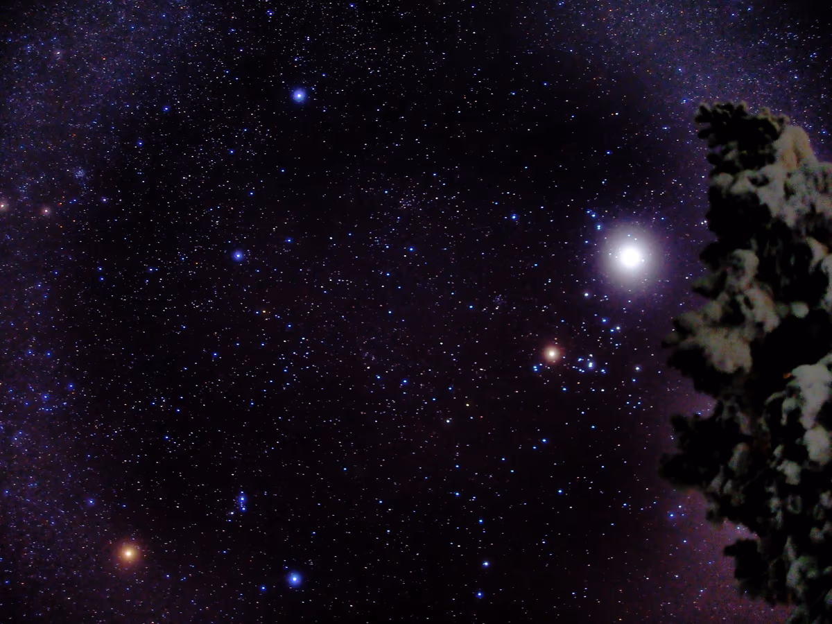 投稿写真：極寒の星空