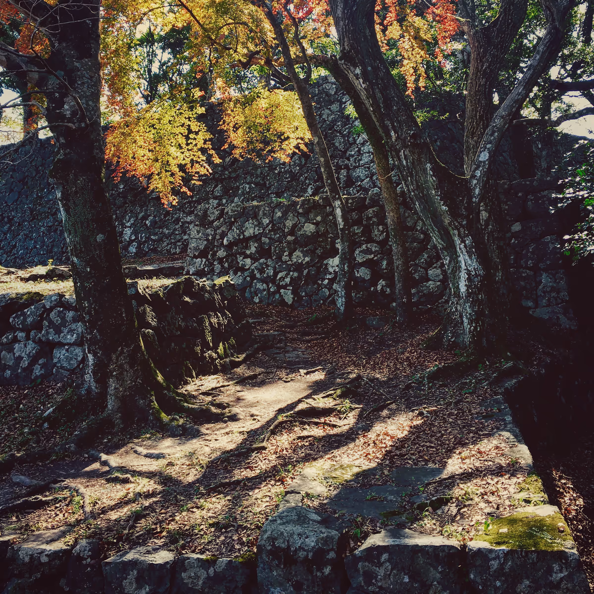 投稿写真：佐伯城