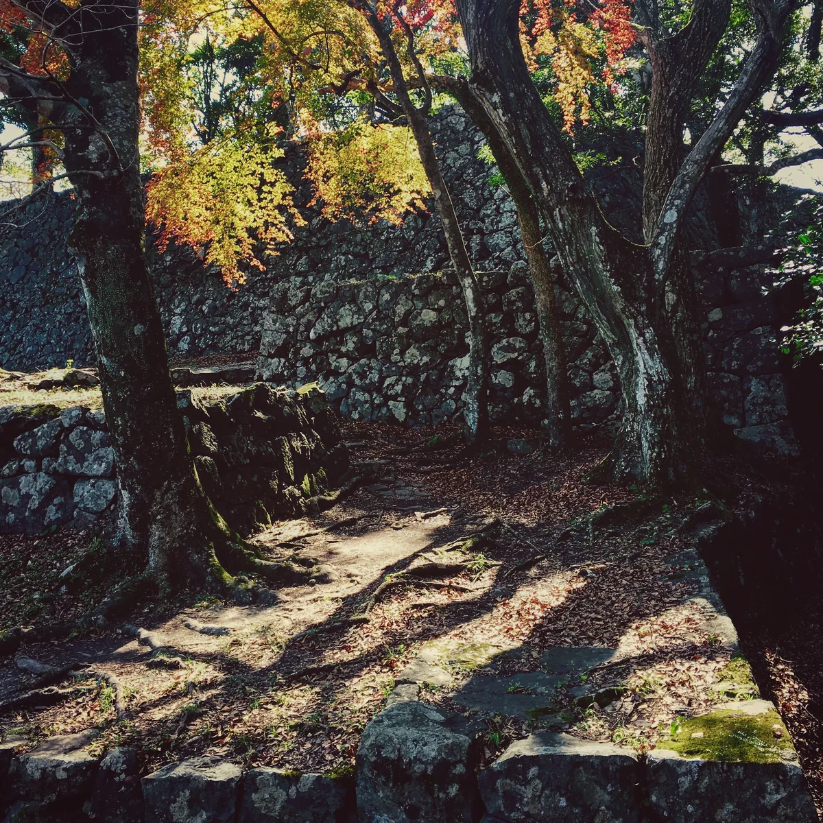 投稿写真：佐伯城