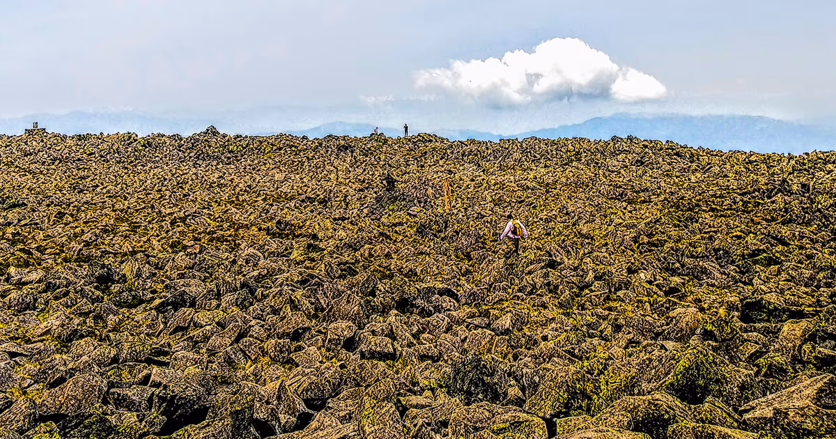 投稿写真：これは、ある山の頂上である。