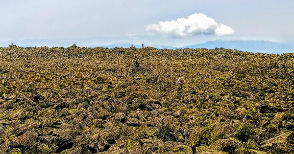 投稿：これは、ある山の頂上である。
