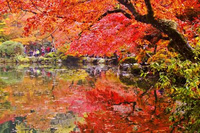  | 絶景事典