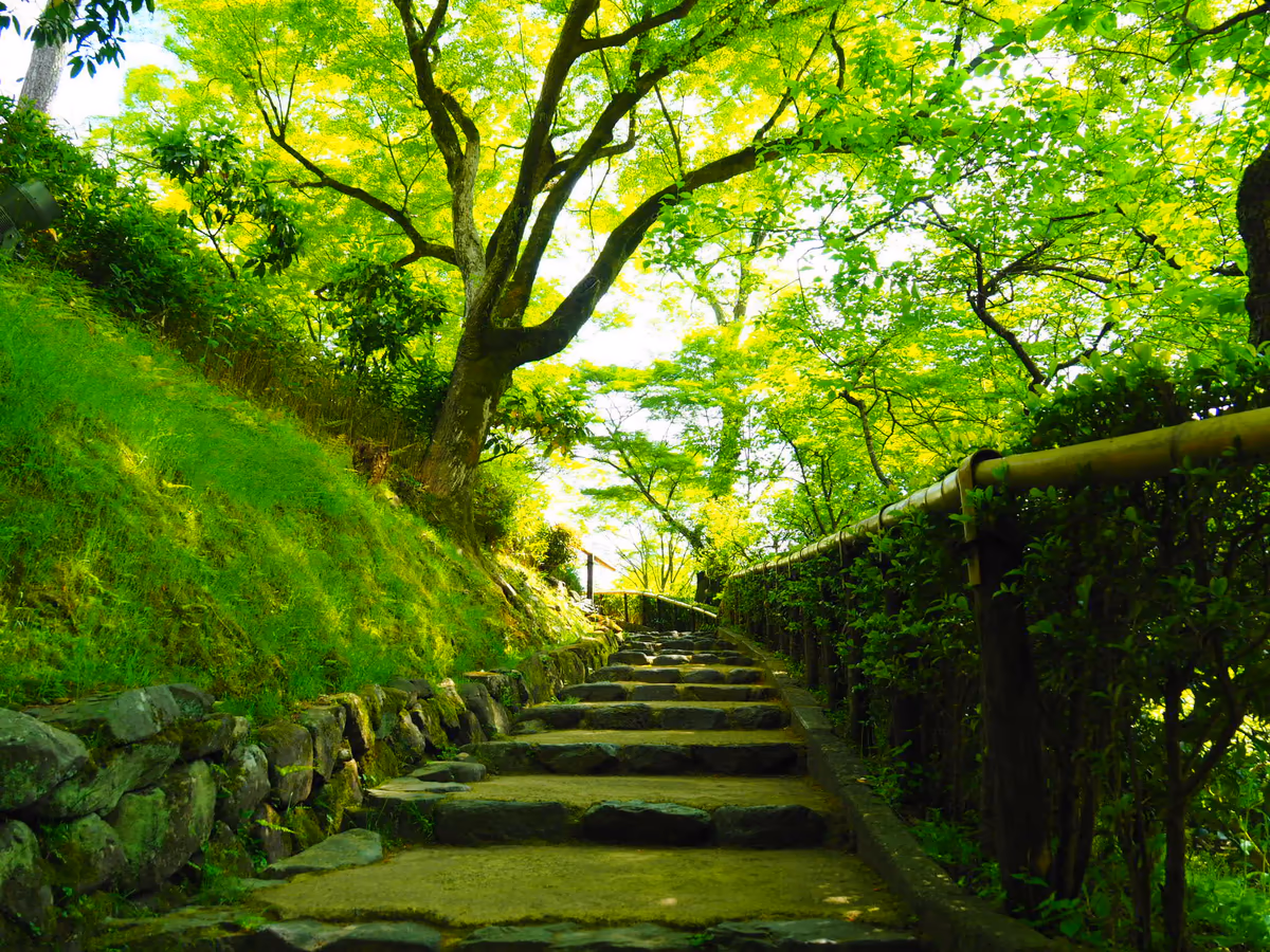 投稿写真：北野天満宮