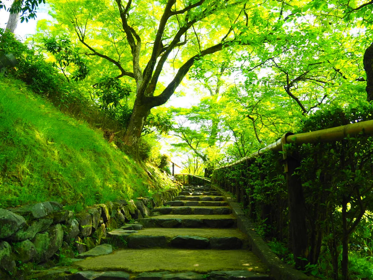 投稿写真：北野天満宮