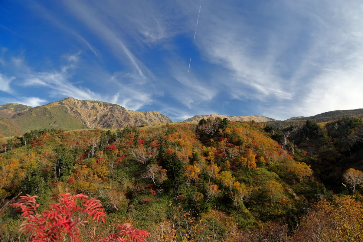 投稿写真：晩秋の大日連山