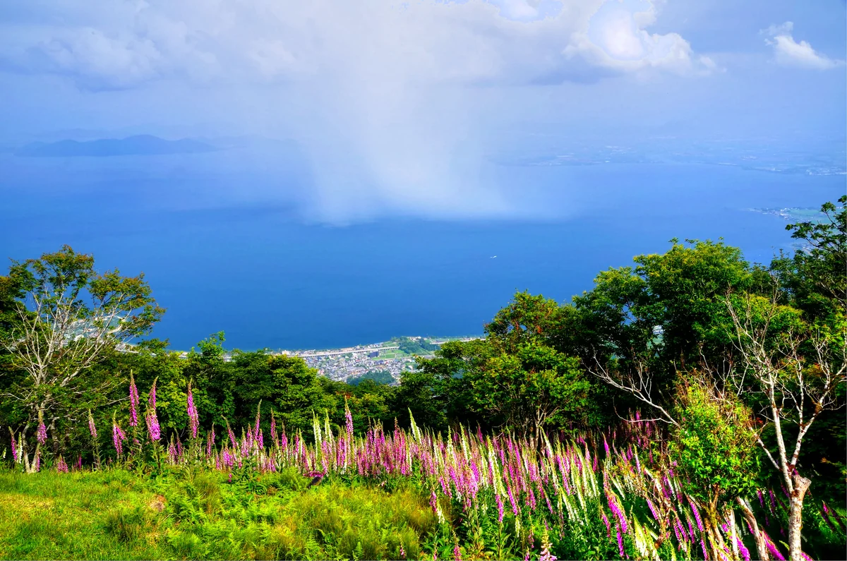 投稿写真：琵琶湖テラスより　雨柱