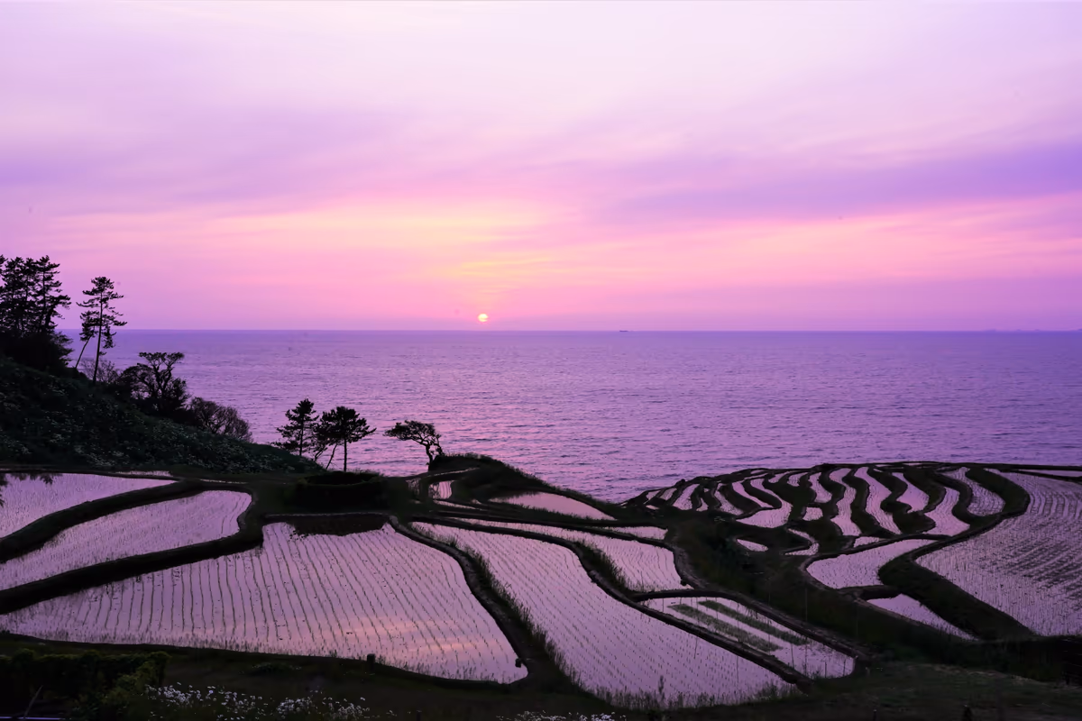 投稿写真：能登の千枚田