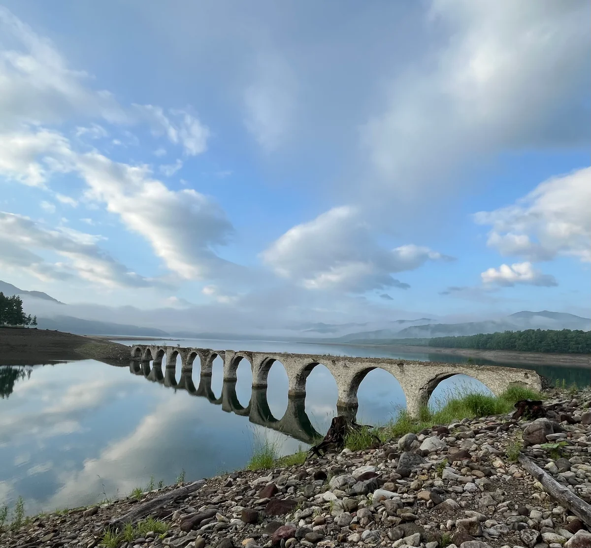 lovelyさんの投稿写真