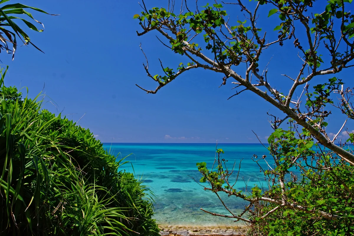 投稿写真：来間島の夏、ふたたび