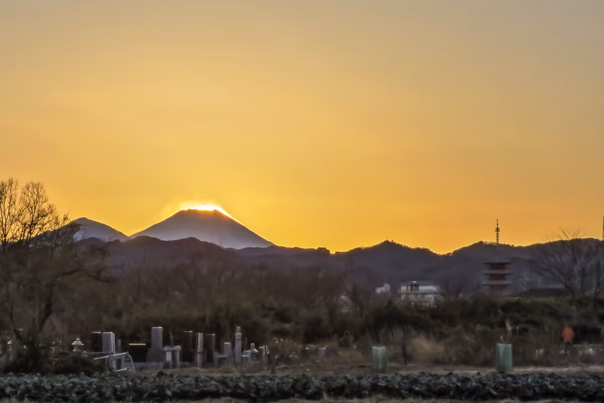 投稿写真：五重塔と夕富士