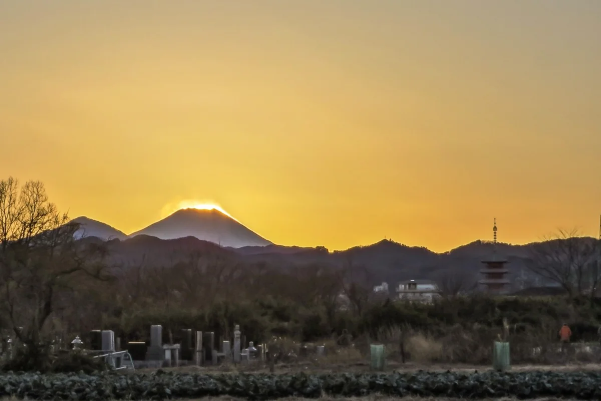 投稿写真：五重塔と夕富士
