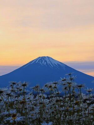  | 絶景事典