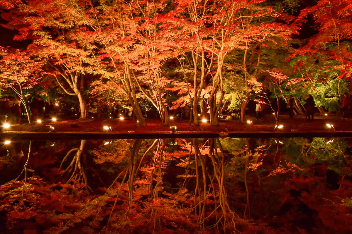 投稿写真：曽木公園