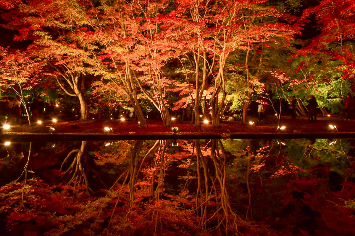 投稿写真：曽木公園