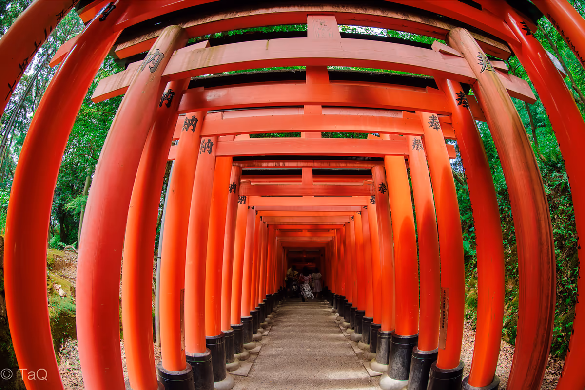 投稿写真：もはやダンジョン
