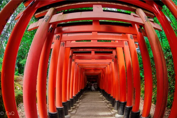 投稿：もはやダンジョン