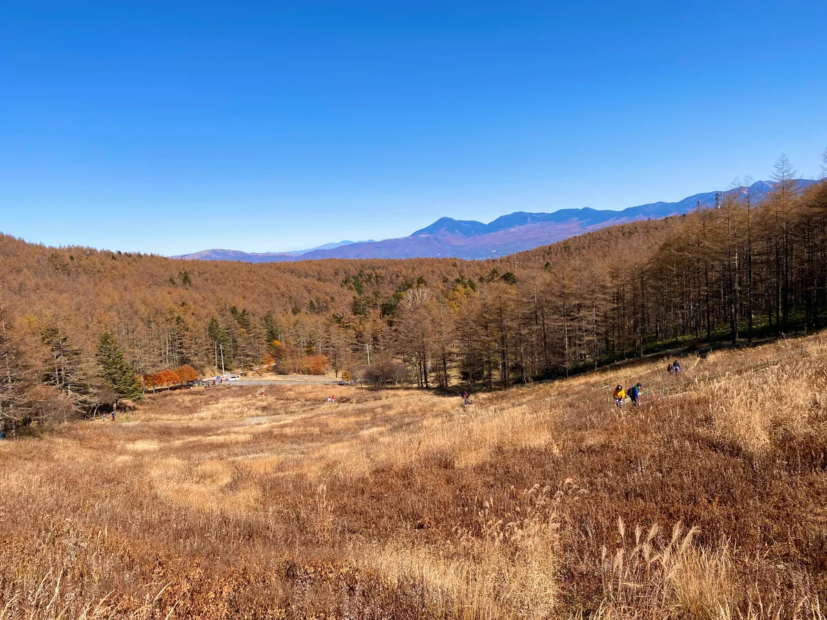 投稿写真：入笠やからの八ヶ岳