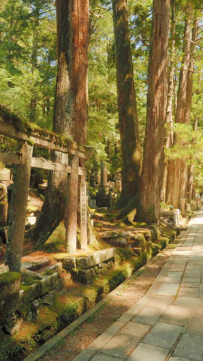 投稿写真：高野山奥の院参道
