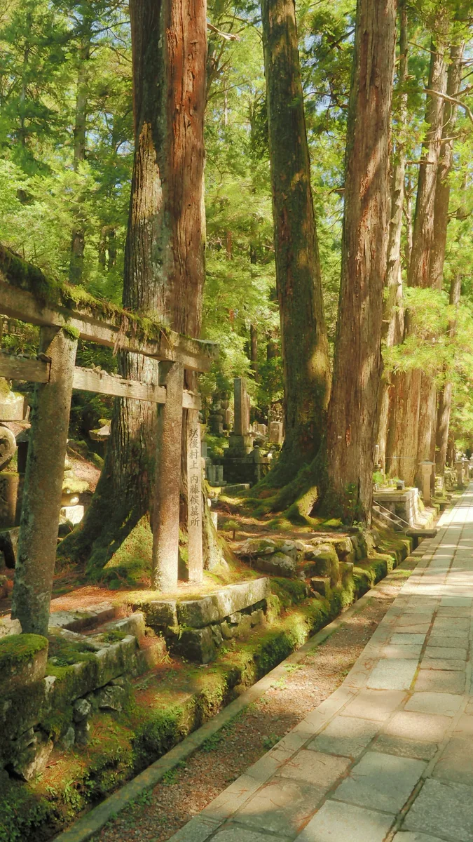 投稿写真：高野山奥の院参道