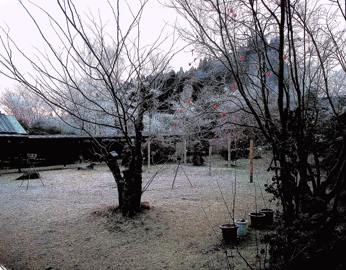 投稿写真：霧氷