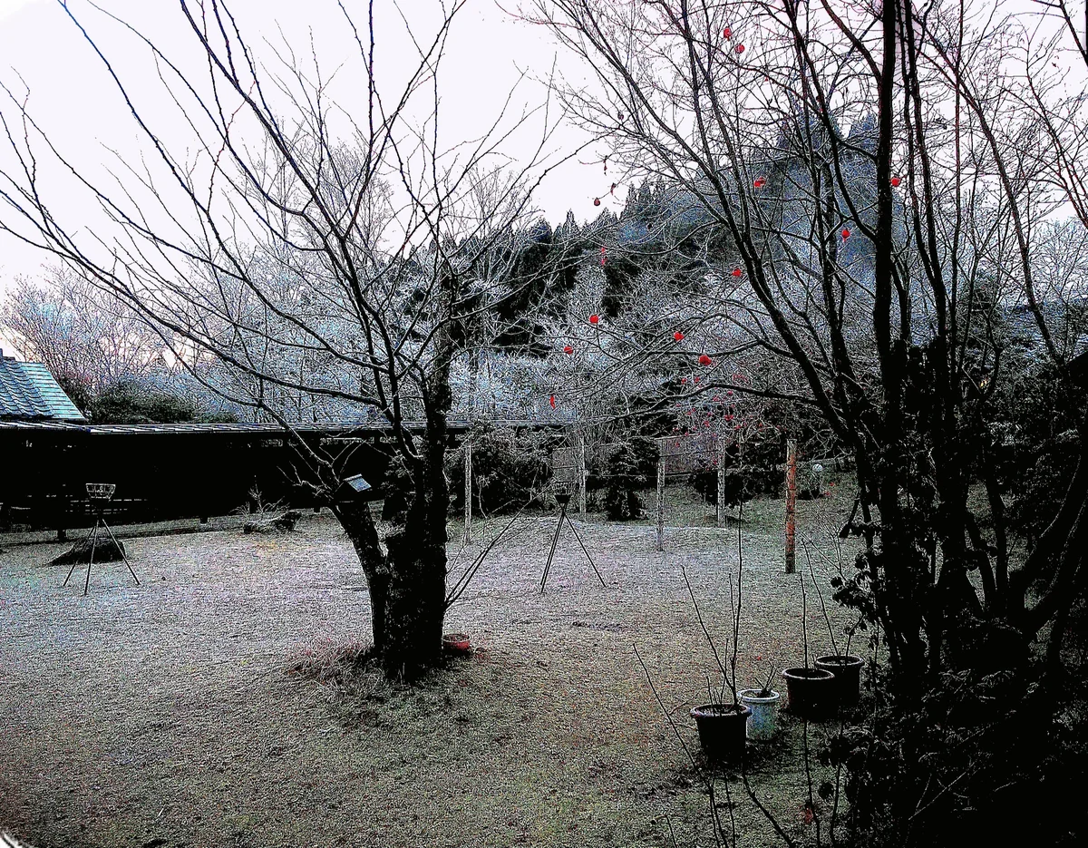 投稿写真：霧氷