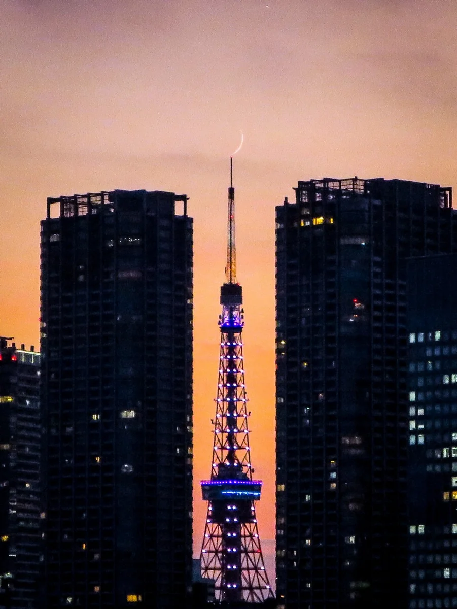投稿写真：東京タワーと三日月と金星