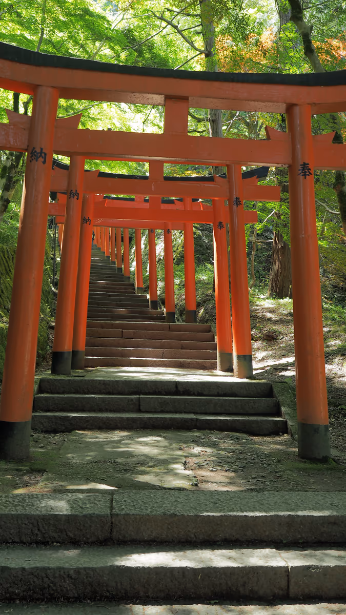投稿写真：出石城　鳥居のトンネル