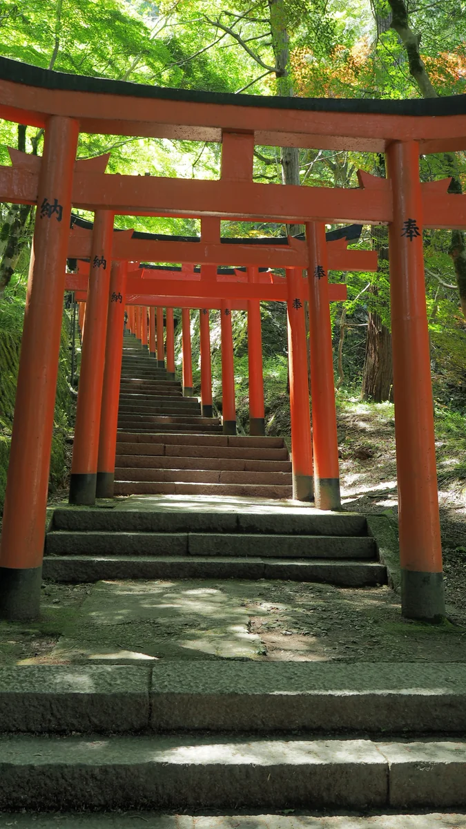 投稿写真：出石城　鳥居のトンネル