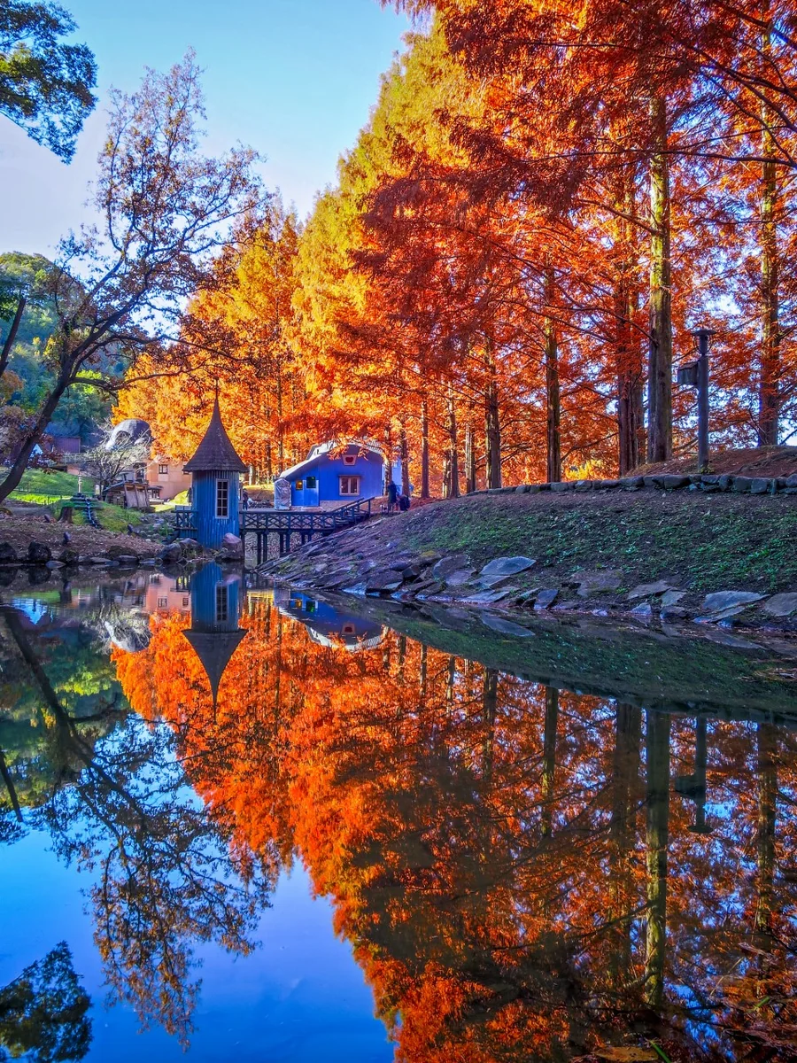 伊藤 和平さんの投稿写真