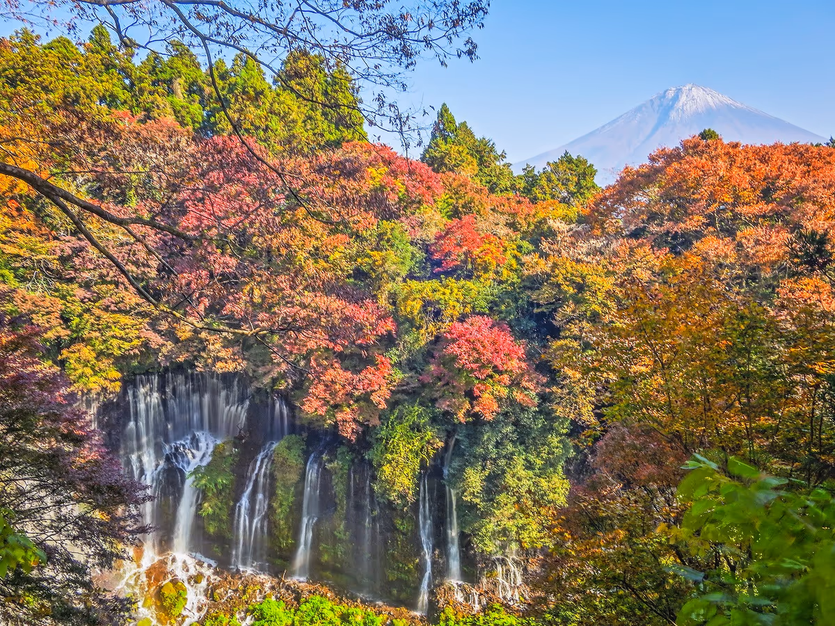 投稿写真：白糸の滝と冠雪富士