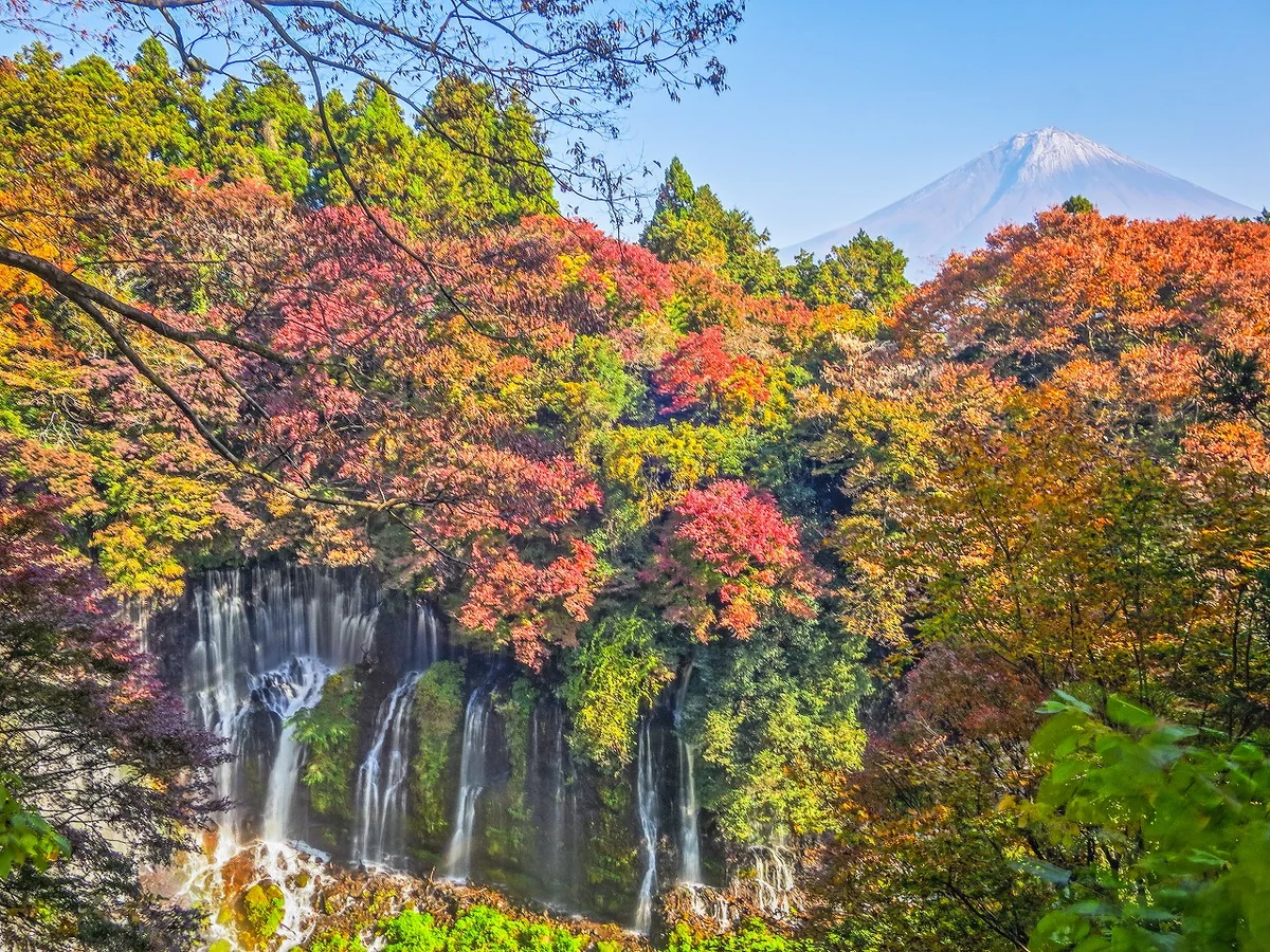 投稿写真：白糸の滝と冠雪富士