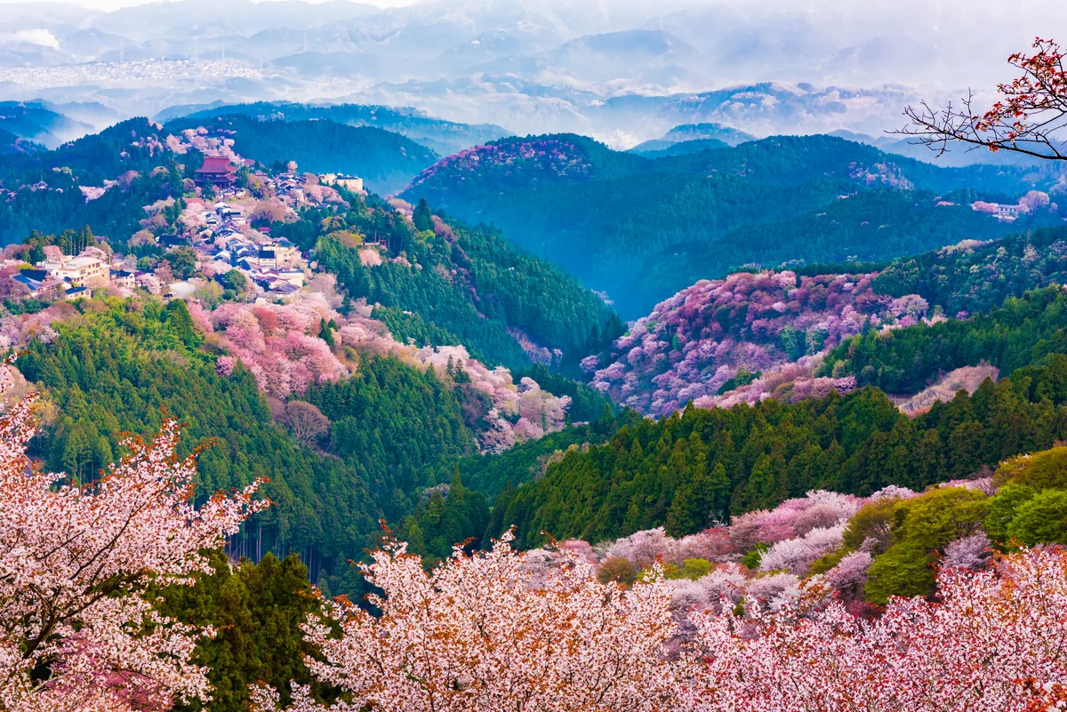 yoshi_.wさんの投稿写真