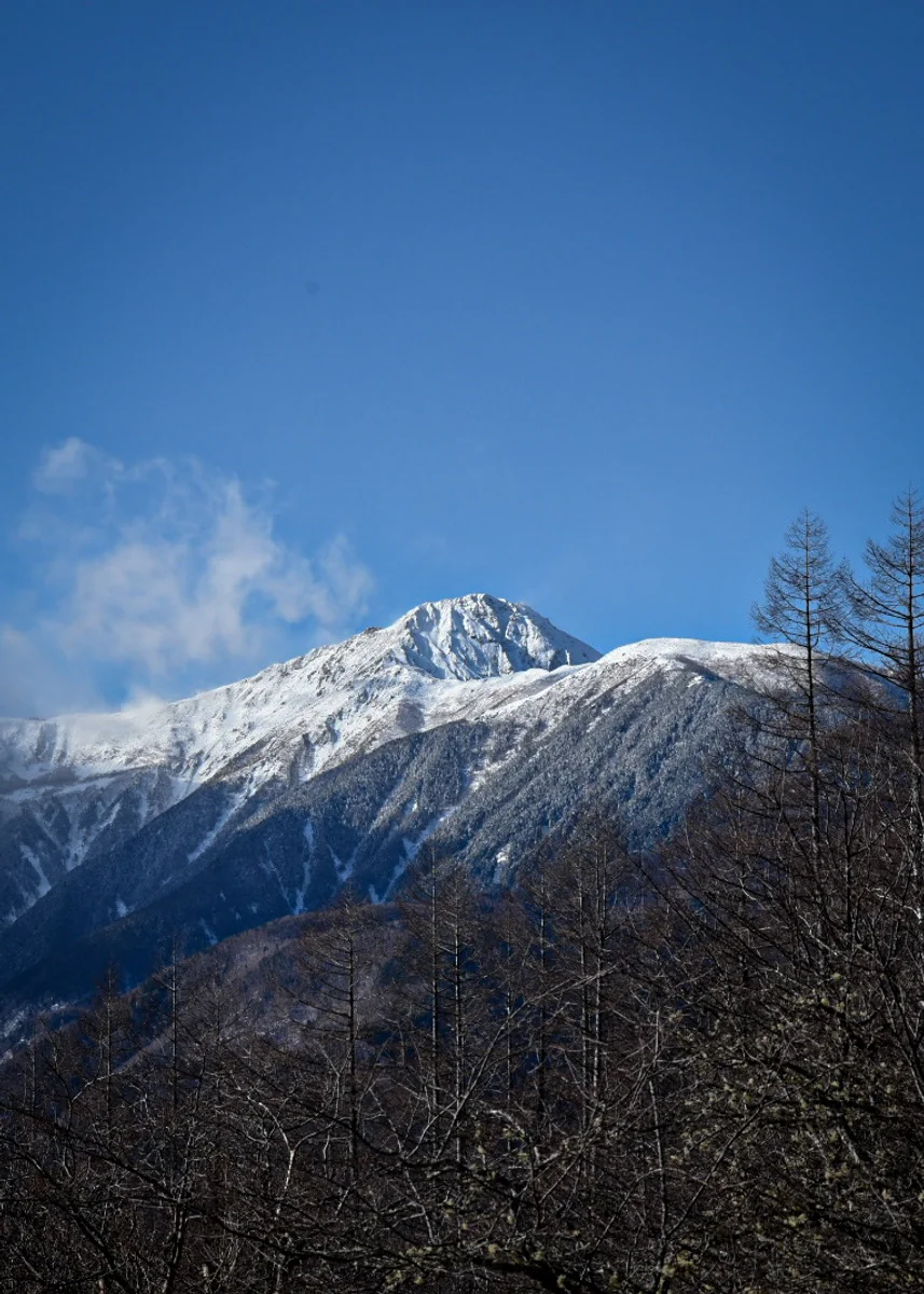 投稿写真：北岳を望む　夜叉神峠にて