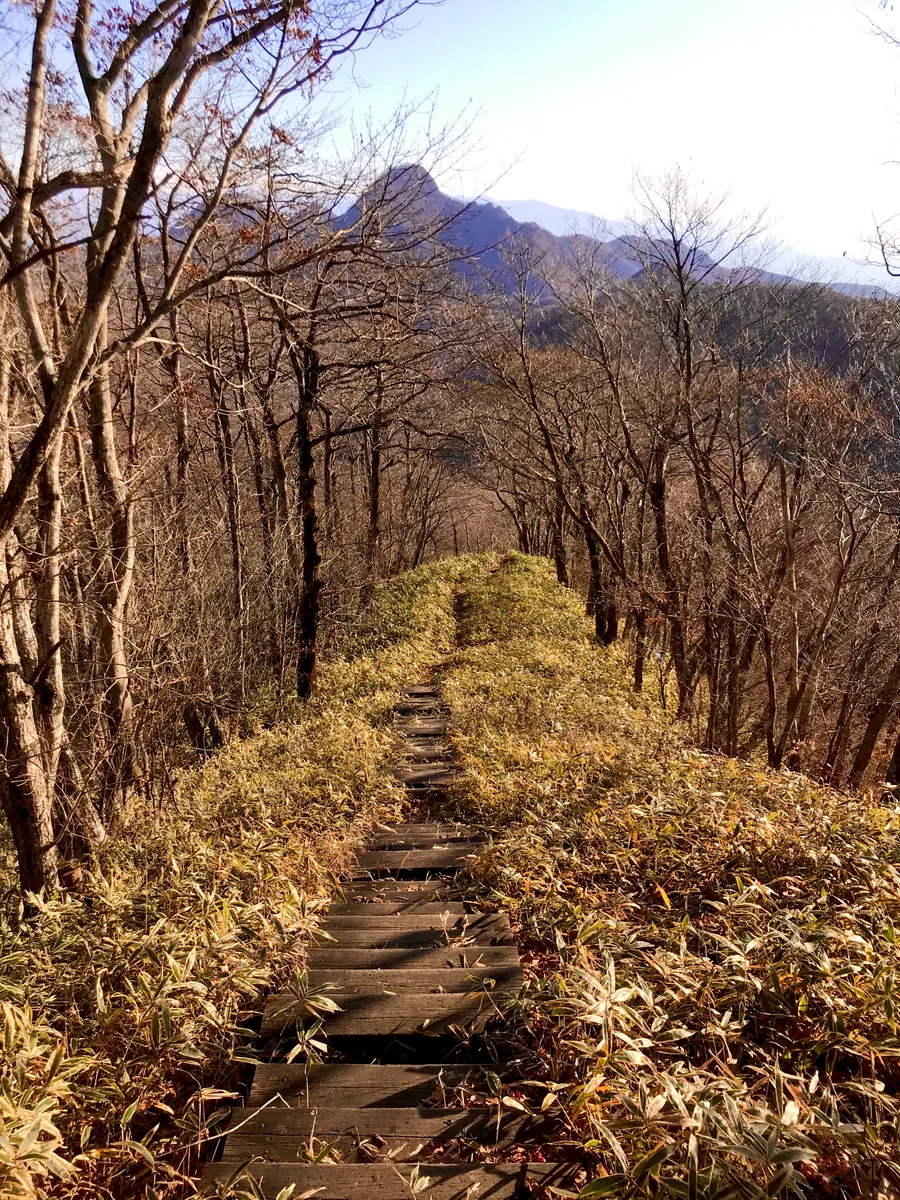 投稿写真：相馬山へのアプローチ