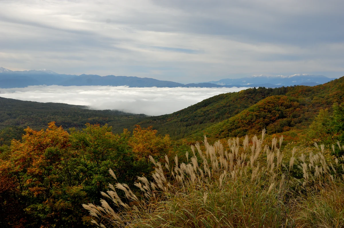 投稿写真：絶景かな