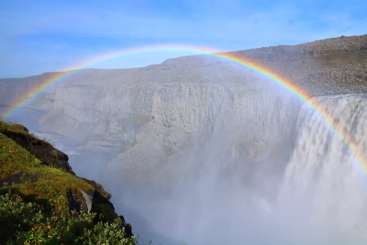 投稿写真：デティフォス
