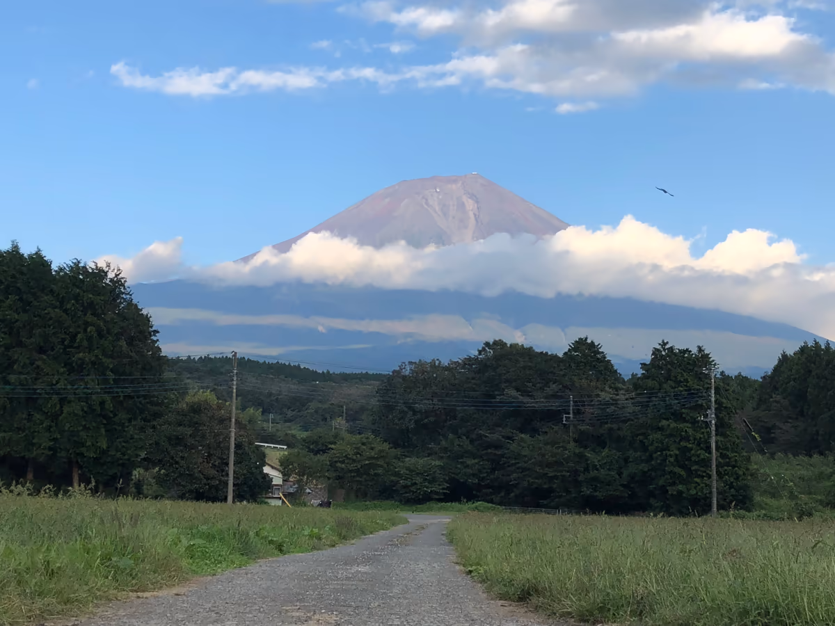 投稿写真：晩夏富士