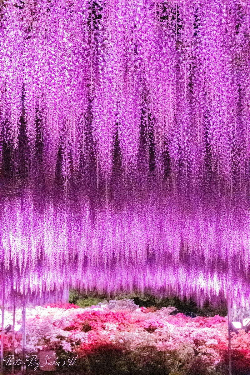 Hiromi Sakataさんの投稿写真